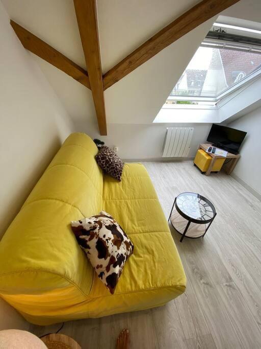 Esprit Jaune - Cosy Studio Salengro - Sauna & Sport Club Mylhúzy Exteriér fotografie